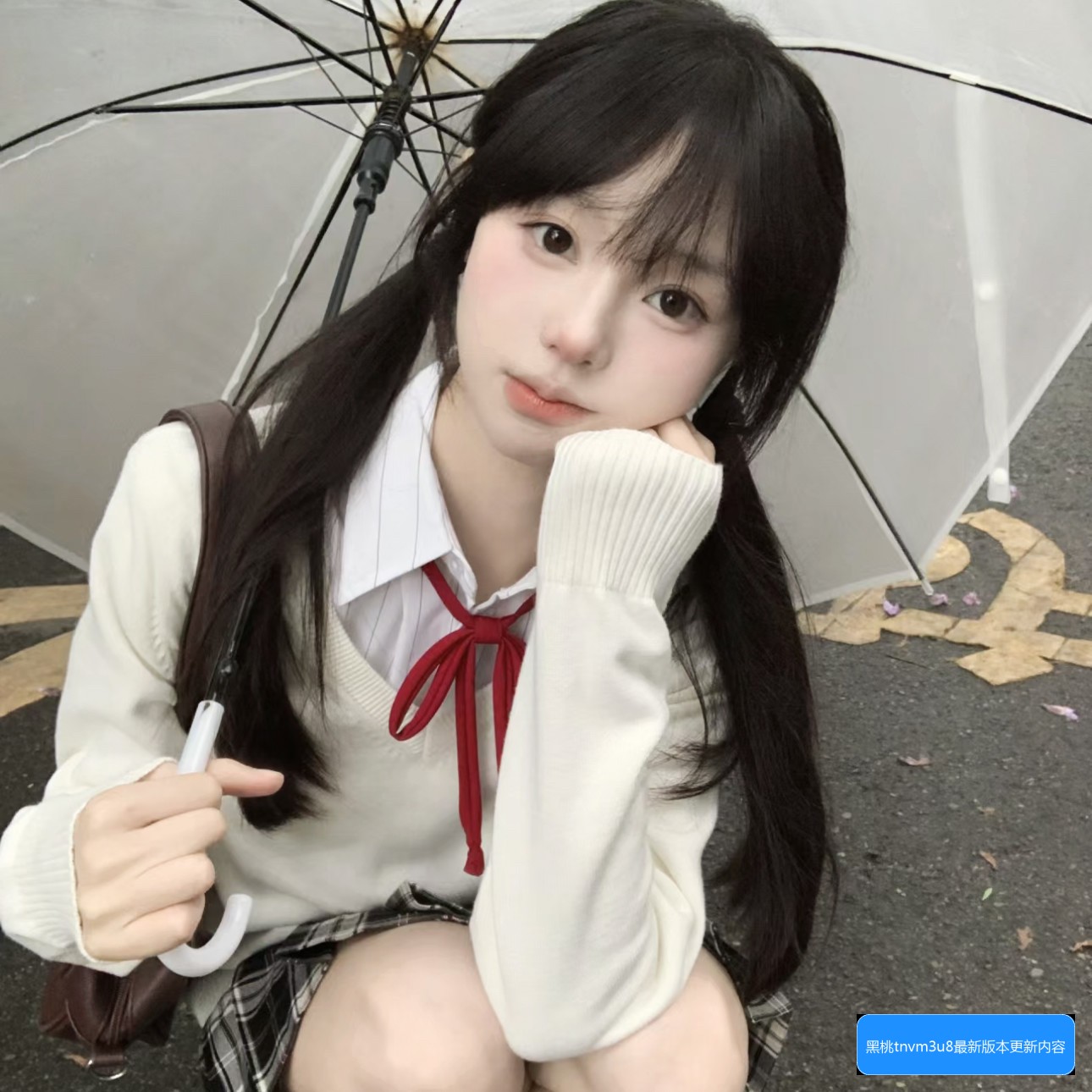 黑桃tnvm3u8最新版本有哪些更新内容及使用优化解析