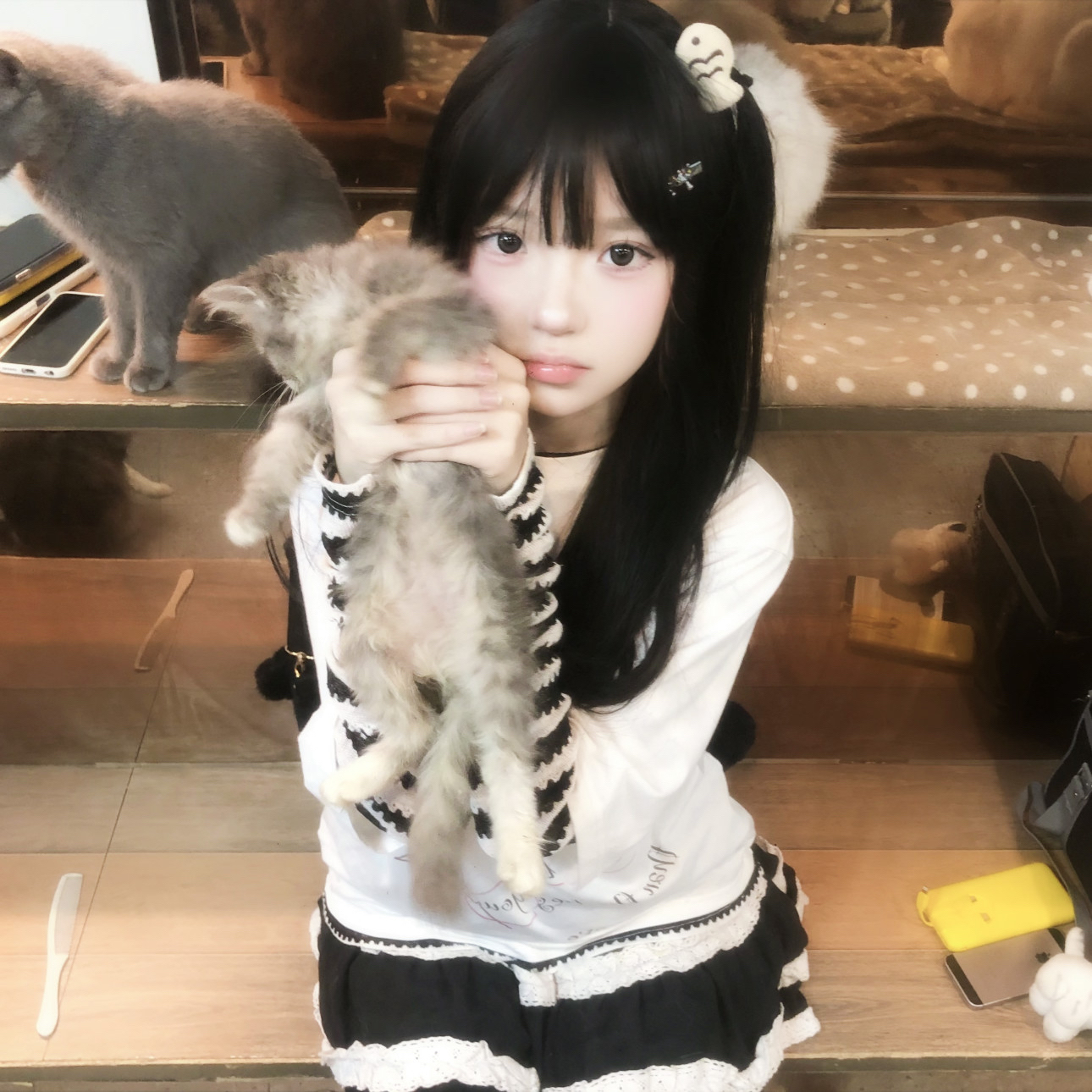 Muzze || Art & History Museum